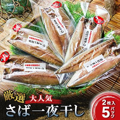 ふるさと納税 いすみ市 厳選!大人気さば一夜干し