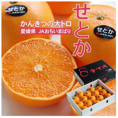 ふるさと納税 上島町 [先行受付]せとか 化粧箱 3L〜Lサイズ 10〜15玉 愛媛県 JAおちいまばり