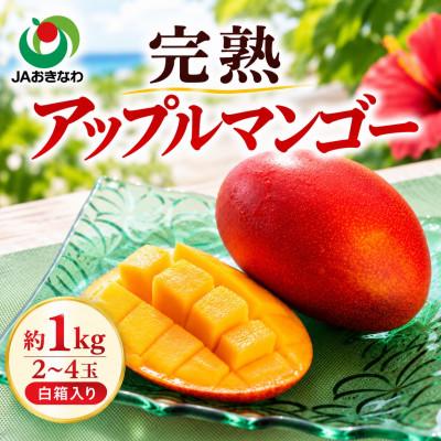 ふるさと納税 与那原町 【2027年6月下旬から順次発送・家庭用】JAおきなわ厳選 完熟アップルマンゴー約1kg(2〜4玉) | 