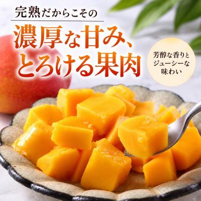 ふるさと納税 与那原町 【2027年6月下旬から順次発送・家庭用】JAおきなわ厳選 完熟アップルマンゴー約1kg(2〜4玉) |  | 01