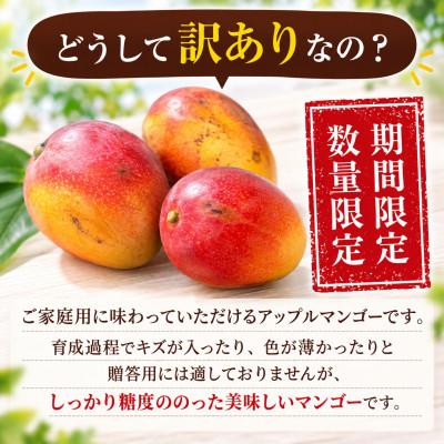 ふるさと納税 与那原町 【2027年6月下旬から順次発送・家庭用】JAおきなわ厳選 完熟アップルマンゴー約1kg(2〜4玉) |  | 02