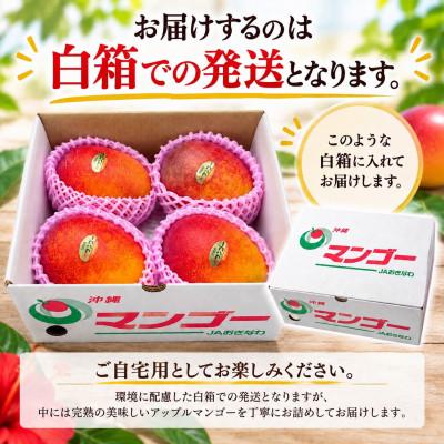 ふるさと納税 与那原町 【2027年6月下旬から順次発送・家庭用】JAおきなわ厳選 完熟アップルマンゴー約1kg(2〜4玉) |  | 03