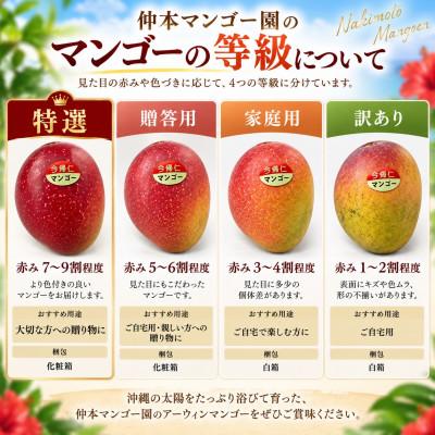 ふるさと納税 今帰仁村 【2027年6月下旬から順次発送・家庭用】仲本マンゴー園のアーウィンマンゴー2kg(3〜6玉) |  | 02