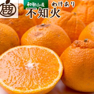 ふるさと納税 湯浅町 家庭用 不知火2.5kg+250g(傷み補償分)[デコポンと同品種][訳あり]