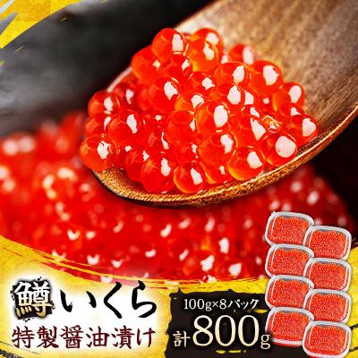 ふるさと納税 美幌町 鱒いくら特製醤油漬け　合計800g(100g×8パック) | 
