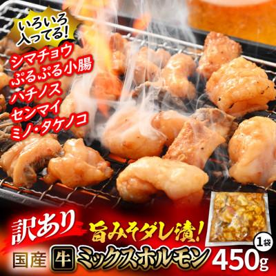 ふるさと納税 越前町 [訳あり]国産牛 ミックスホルモン 450g × 1袋
