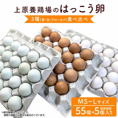 ふるさと納税 糸満市 上原養鶏場のはっこう卵 3種食べ比べMS〜Lサイズ 55個+破卵保障5個
