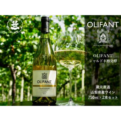 ふるさと納税 大月市 【山梨ワイン】蔵元直送「OLIFANTシャルドネ樽発酵750ml×2本セット」 | 