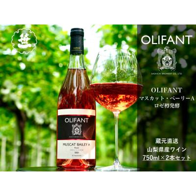 ふるさと納税 大月市 [山梨ワイン]蔵元直送「OLIFANTマスカット・ベーリーAロゼ樽発酵750ml×2本セット」