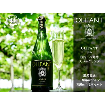 ふるさと納税 大月市 [山梨ワイン]蔵元直送「OLIFANT甲州瓶内二次発酵スパークリング750ml×2本セット」