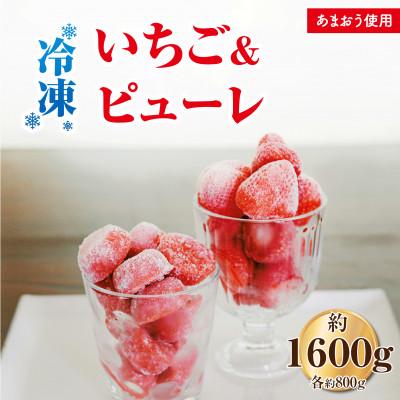 ふるさと納税 朝倉市 食べ比べ[あまおう]冷凍いちご800g、いちごの冷凍ピューレ800g(朝倉市)