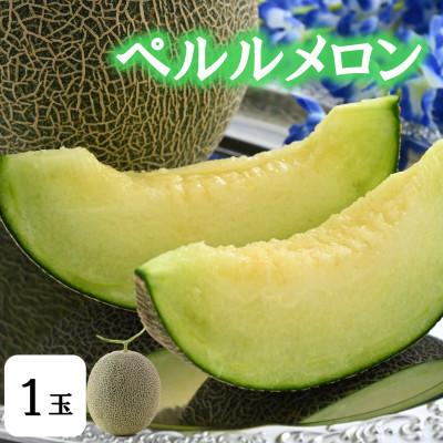 ふるさと納税 あわら市 [先行予約]ペルルメロン 1玉(約2kg以上)青肉品種 高級メロン