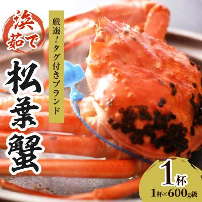 ふるさと納税 京丹後市 ズワイガニ 姿[厳選!タグ付きブランド蟹]茹で松葉かに(中) 浜茹でにてお届け! 600g級×1杯