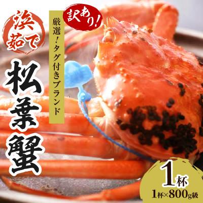 ふるさと納税 京丹後市 【訳あり!タグ付きブランド】茹で松葉かに 鮮度抜群、釜茹でにてお届け! 800g級(足1本落ち)×1 | 