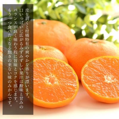 ふるさと納税 有田川町 みかん Sサイズ 箱込 5kg (内容量 4.4kg) 秀品 有田みかん 和歌山 産地直送 贈答用 |  | 01