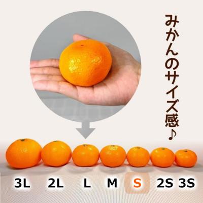 ふるさと納税 有田川町 みかん Sサイズ 箱込 5kg (内容量 4.4kg) 秀品 有田みかん 和歌山 産地直送 贈答用 |  | 02