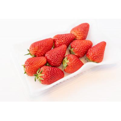 ふるさと納税 常陸太田市 茨城県産 やよいひめ 約300g×2パック(1箱)デラックスサイズ