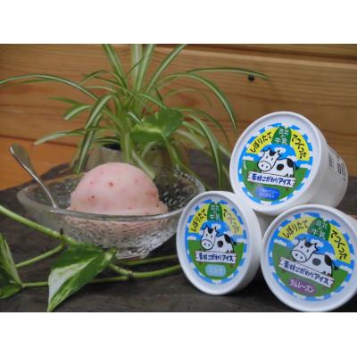 ふるさと納税 北広島町 芸北ドルチェのジェラート12種食べ比べセット(130ml×12個)