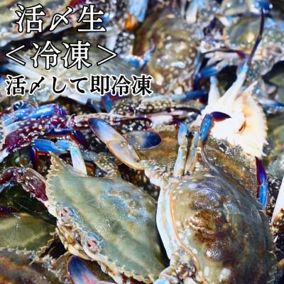 ふるさと納税 南知多町 活〆生ワタリガニ(中サイズ)750g3〜5杯 冷凍便＼特製三杯酢付き/ |  | 01