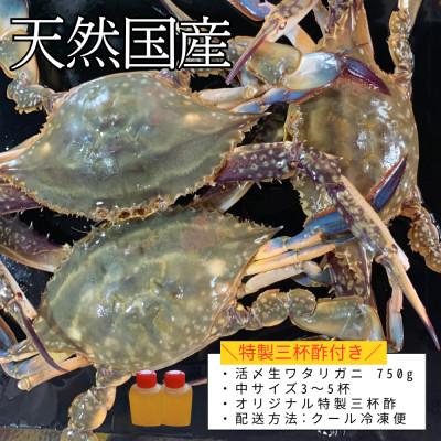 ふるさと納税 南知多町 活〆生ワタリガニ(中サイズ)750g3〜5杯 冷凍便＼特製三杯酢付き/ |  | 02