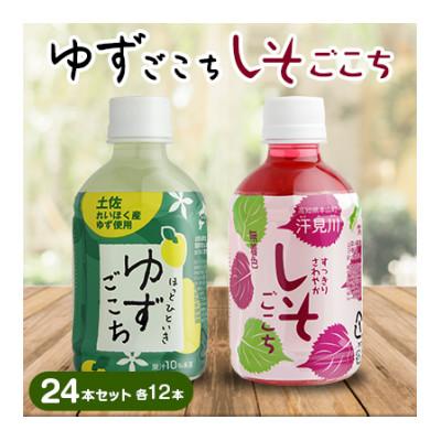 ふるさと納税 本山町 ゆずごこち・しそごこち 24本セット(各12本)