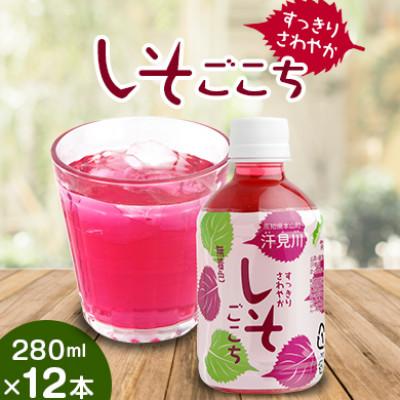 ふるさと納税 本山町 すっきりさわやかしそごこち 280ml×12本セット