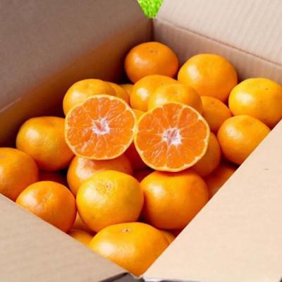 ふるさと納税 美浜町 [11月より順次発送]まごころ手選別 和歌山産 有田みかん 2kg 1箱 (2S〜Lサイズ混合)