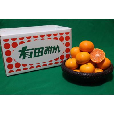ふるさと納税 美浜町 [まごころ手選別]和歌山の有田みかん 10kg 大玉(2L〜4Lサイズ混合)