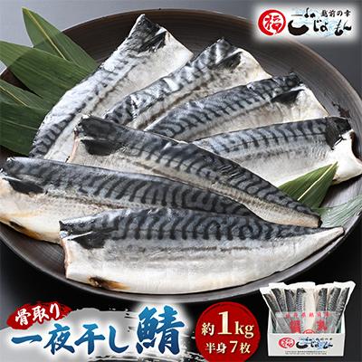 ふるさと納税 越前町 越前漁師福丸の骨取り鯖の一夜干し 約1kg入り