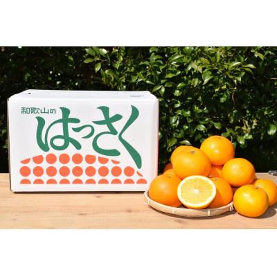 ふるさと納税 美浜町 [まごころ手選別]有田のはっさく・10kg大玉(2L〜4L)