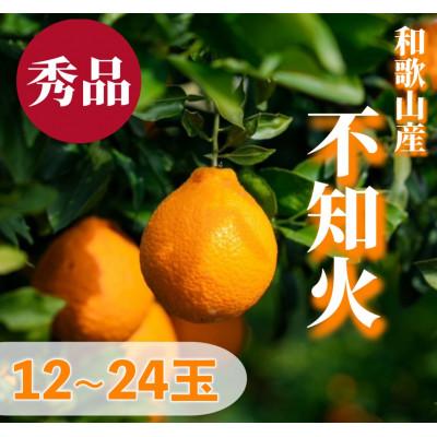 ふるさと納税 美浜町 [まごころ手選別]和歌山産 有田の不知火(しらぬひ)12玉〜24玉[2027年2月より順次発送]