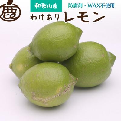 ふるさと納税 湯浅町 わけあり レモン2.5kg+250g(傷み補償分)[和歌山有田産][防腐剤・WAX不使用][国産]