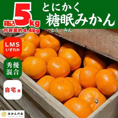 ふるさと納税 有田川町 熟成 みかん L/M/Sいずれか 秀優混合 箱込 5kg ( 内容量 4.4kg ) 糖眠みかん