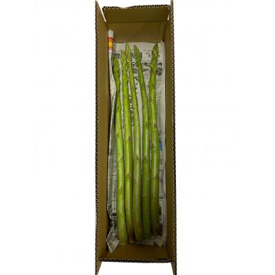 ふるさと納税 東かがわ市 極太アスパラガス[さぬきのめざめ]50cmロングサイズ5本