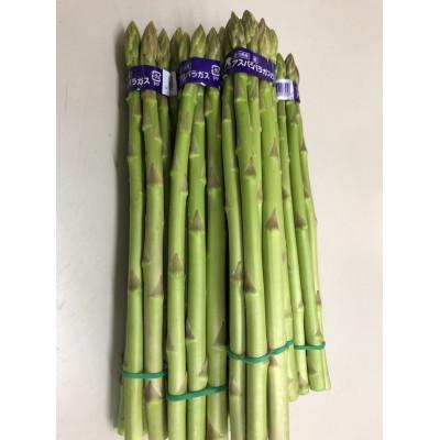 ふるさと納税 東かがわ市 アスパラガス[さぬきのめざめ]Mサイズ1kg