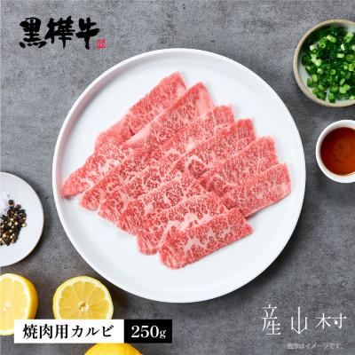 ふるさと納税 産山村 熊本県産黒毛和牛 黒樺牛焼肉用カルビ 250g(産山村)