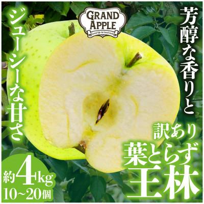 ふるさと納税 藤崎町 「王林」訳あり約4kg
