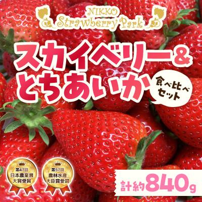ふるさと納税 日光市 日光ストロベリーパークの『スカイベリー』&amp;『とちあいか』大粒各1箱[1月上旬〜4月中旬発送予定]