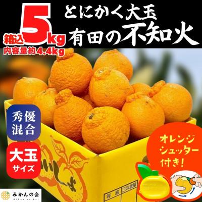 ふるさと納税 有田川町 不知火 (しらぬい) とにかく大玉 どっこいしょ 5kg (内容量約 4.4kg) 秀優品混合