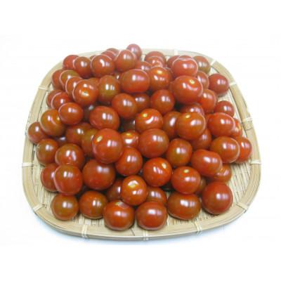 ふるさと納税 さぬき市 [ご家庭用]ヘタなしミニトマト 約1kg×2箱