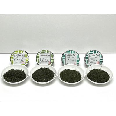 ふるさと納税 島田市 島田市コンセプトティー4種とオリジナルフィルターインボトル