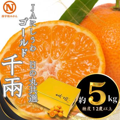 ふるさと納税 八幡浜市 JAにしうわの季節の柑橘(日の丸共選「ゴールド千兩」約5kg)[F08-45]