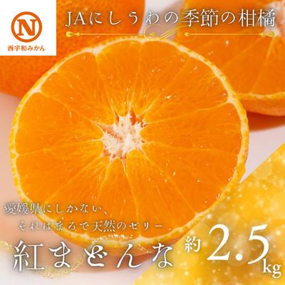 ふるさと納税 八幡浜市 JAにしうわの季節の柑橘(紅まどんな 約2.5kg)[G08-49]