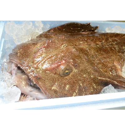 ふるさと納税 ひたちなか市 【先行受付2026年12月発送】常陸名物　あんこう鍋セット(3〜4人前) |  | 02