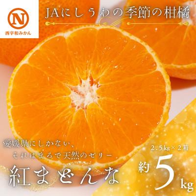 ふるさと納税 八幡浜市 JAにしうわの季節の柑橘(紅まどんな 約2.5kg×2箱)[H08-50]