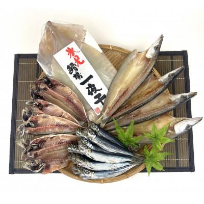 ふるさと納税 氷見市 鱈場おすすめ![氷見産新鮮魚一夜干し4種]カマス・アジ・いわし・するめいか一夜干し