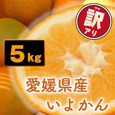 ふるさと納税 松山市 [先行受付]訳あり家庭用 宮内伊予柑 5kg 愛媛県産 [2026年1月上旬〜2月順次発送]みかん