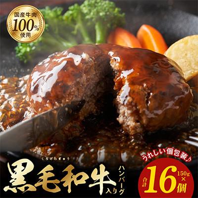 ふるさと納税 泉佐野市 黒毛和牛入り 国産牛肉100% ハンバーグ 150g×16個 個包装099H3400