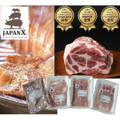 ふるさと納税 白石市 JAPAN X3種800g特選仙台牛タン塩味200gセット計1kg[真空パック・ロース・モモ・小間]