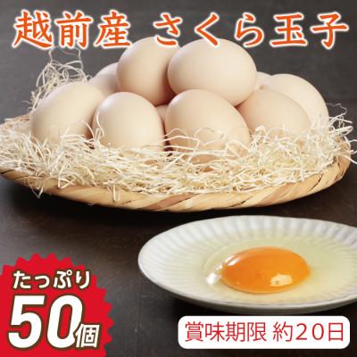 ふるさと納税 越前市 越前産 さくら玉子 50個(45個+割れ補償5個入り)